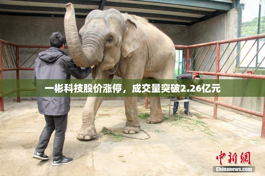 一彬科技股价涨停，成交量突破2.26亿元