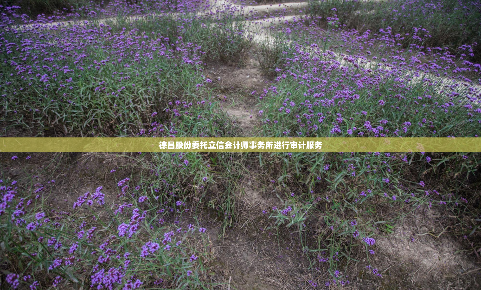 德昌股份委托立信会计师事务所进行审计服务