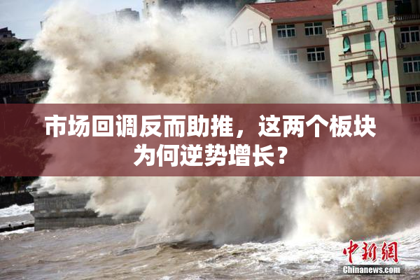 市场回调反而助推，这两个板块为何逆势增长？